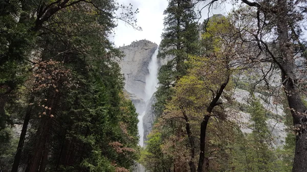 Yosemite Park, USA — Stock Photo, Image