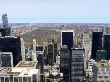 Manhattan and Central park view in NYC, USA.
