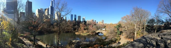 Central Park nyc — Zdjęcie stockowe