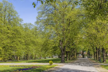 Park