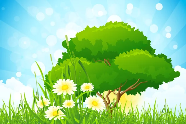 Green Grass with Tree — Stock Vector