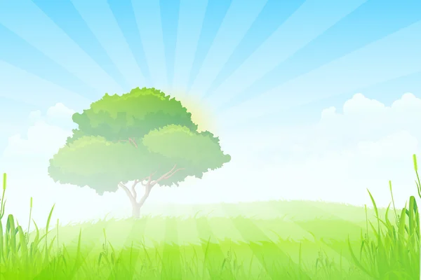 나무와 녹색 풍경 — 스톡 벡터