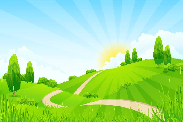 Zelená krajina se stromy a silniční — Stockový vektor