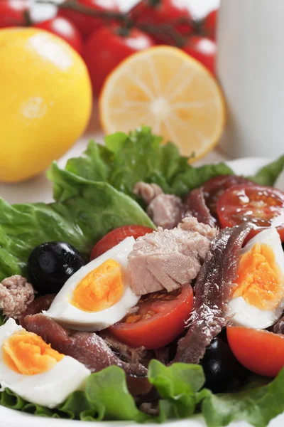 Salada Nicoise com atum e ovos cozidos — Fotografia de Stock