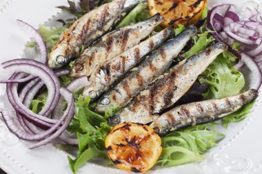 ızgara sardalya balığı