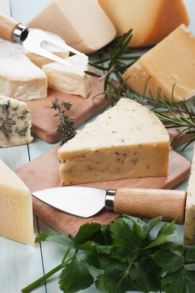 Assorted cheese — Stock Photo, Image