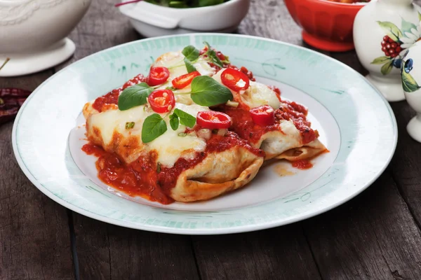 Mexican enchilada — Stock Image Mexican enchilada Royalty Free Stock Photos