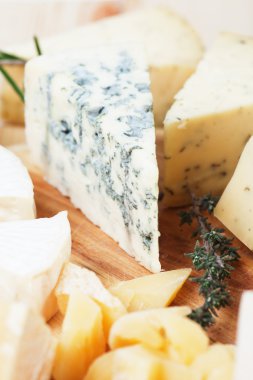 gorgonzola peyniri dilimini