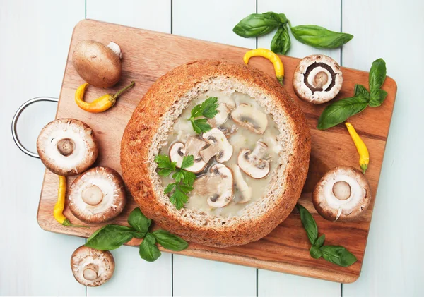 Smetanová houbová polévka — Stock fotografie