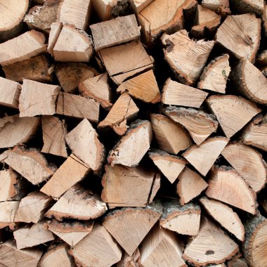 Woodpile doku arka planlar