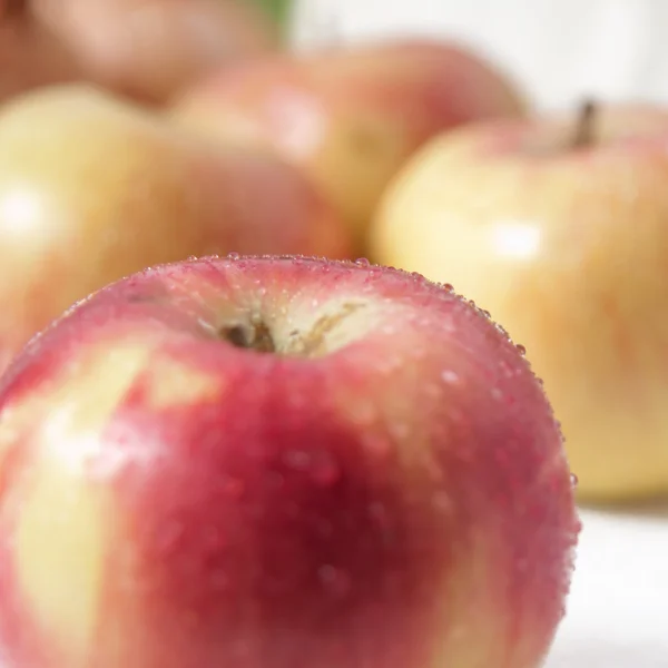 Äpple — Stockfoto