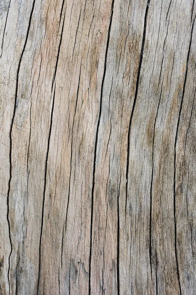 Drewniane tekstura wzór — Zdjęcie stockowe