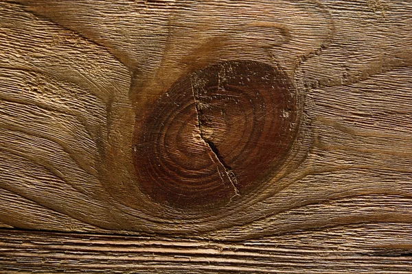 Textura de madera de pino — Foto de Stock
