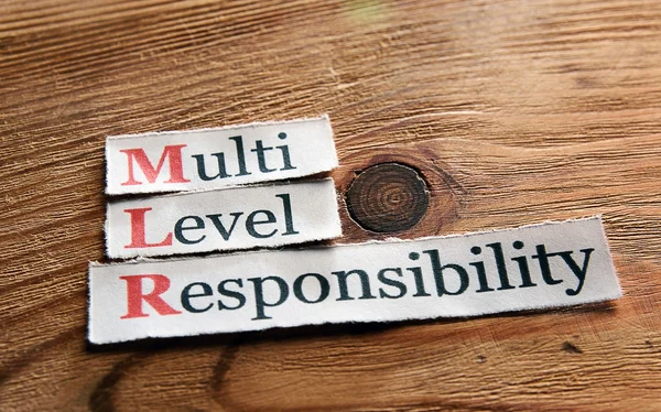 MLR - Multi niveau verantwoordelijkheid — Stockfoto