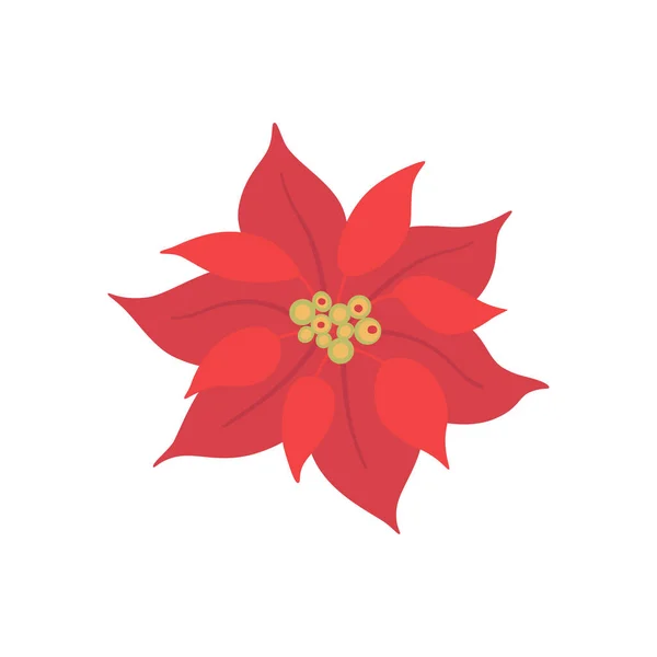 Poinsettia flower isolated on a white background in a trendy style — Stock Vector