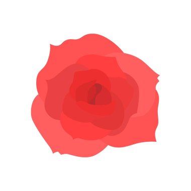 Beyaz arka planda izole edilmiş el yapımı bir gül..