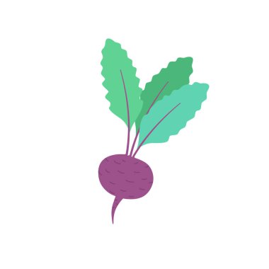 Beyazın üzerinde yaprakları olan pancar..