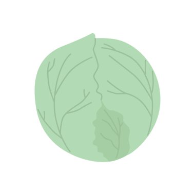 Beyaz üzerine izole edilmiş şirin lahana. Yiyecek için sebze İçi.