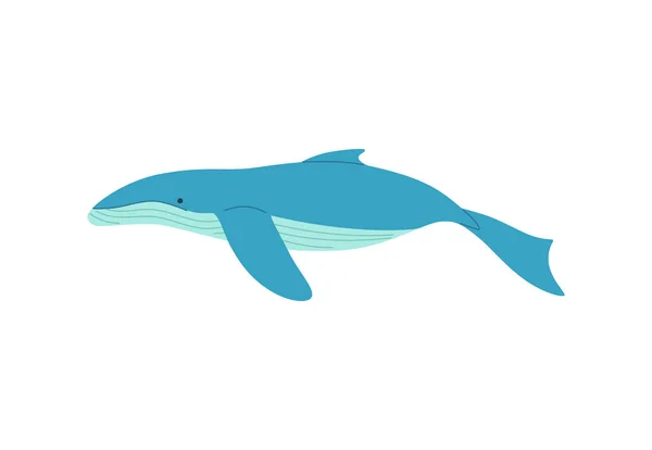 Ballena azul aislada en blanco, salvar la tierra. — Vector de stock