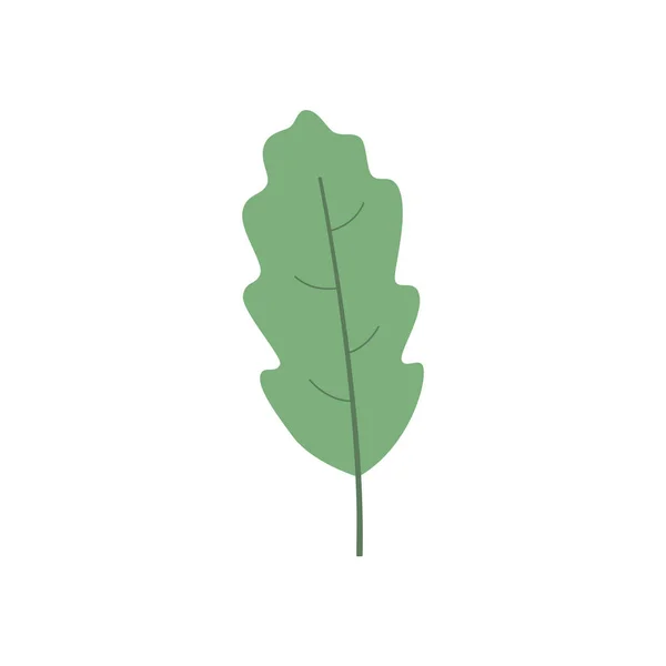 Hoja verde aislada sobre fondo blanco — Vector de stock