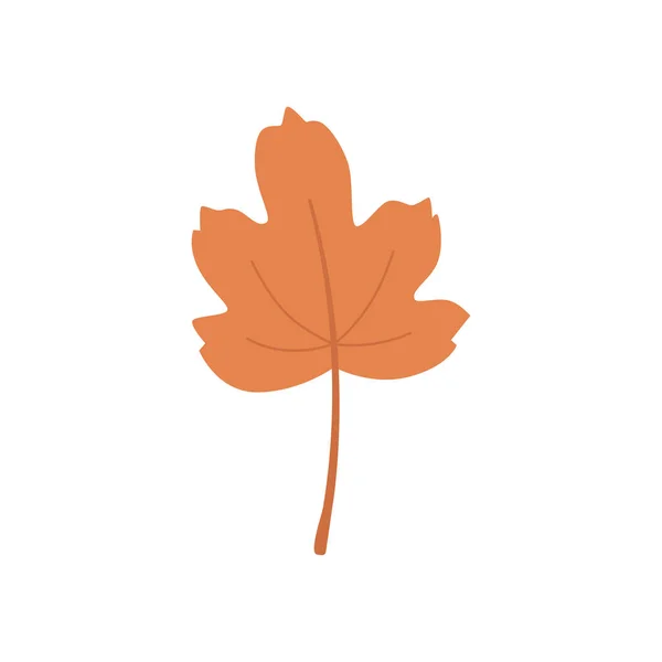 Autumn leaf isolated on a white background. — Stock Vector
