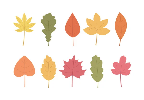 Herfst bladeren gezet, geïsoleerd op witte achtergrond. Handgetekende vectorillustratie. — Stockvector