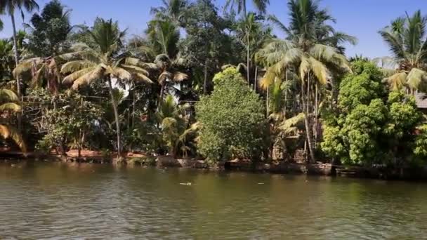 Indien, Ufer des Kerala-Rückwassers — Stockvideo