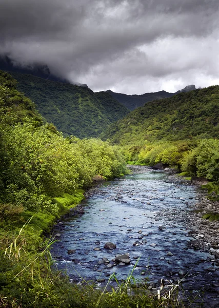 Tahiti.Trópusi természet és hegyi folyó. — Stock Fotó