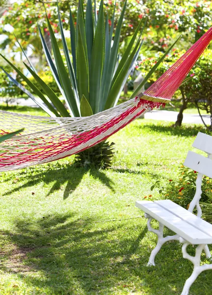 Hangmat en bankje in tropische park — Stockfoto