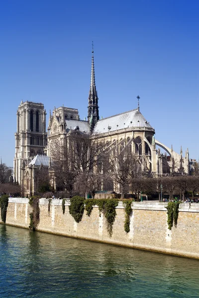 França. Paris. Notre-Dame. . — Fotografia de Stock