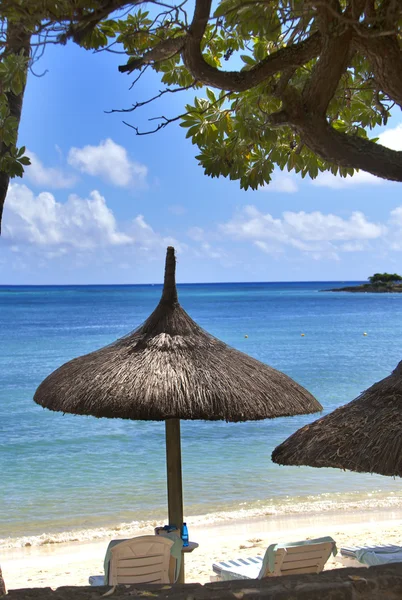 Skydd parasoller, stranden, havet. — Stockfoto