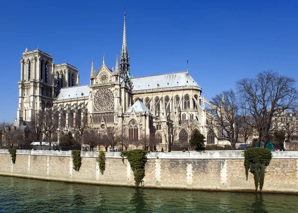 Fransa. Paris. Notre-dame.