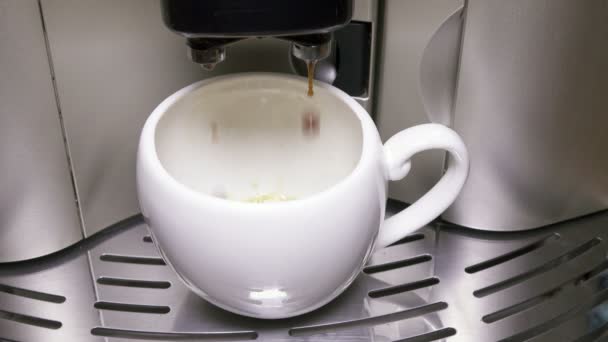 Le café coule dans une tasse — Video