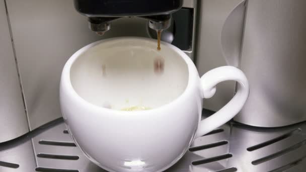 Le café coule dans une tasse — Video