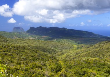 Mauritius 'un doğası. Ahşap ve dağlar