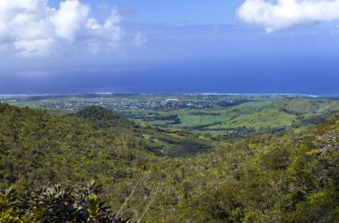 Mauritius 'un doğası. Ahşap ve dağlar