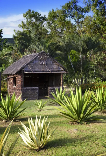 Staré dřevěné chatě v parku - tak žili na Mauritiu dříve — Stock fotografie