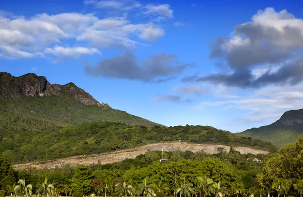 毛里求斯的性质。木材和山脉 — 图库照片