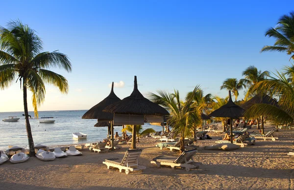 Bescherming parasols, strand, zee. — Stockfoto