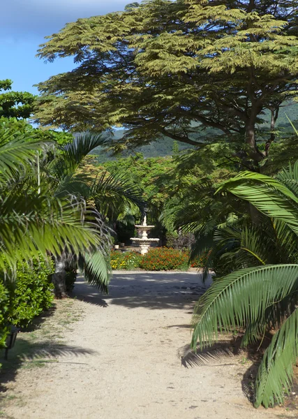Strefa parku le domaine les pailles. Mauritius — Zdjęcie stockowe