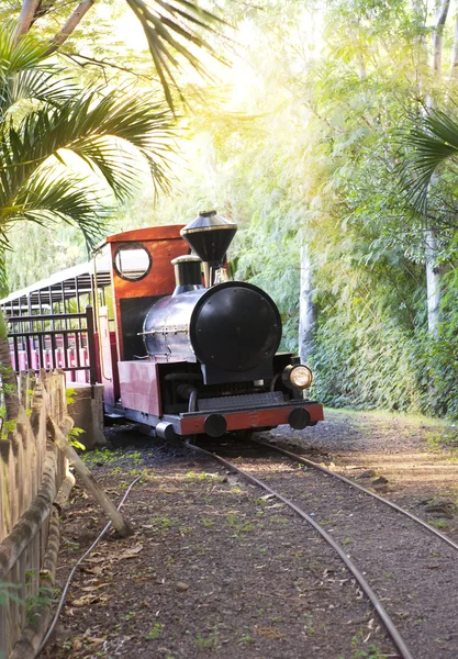 The ancient Steam locomotive on tightly-track railroad. Mauritius — Stock Photo, Image