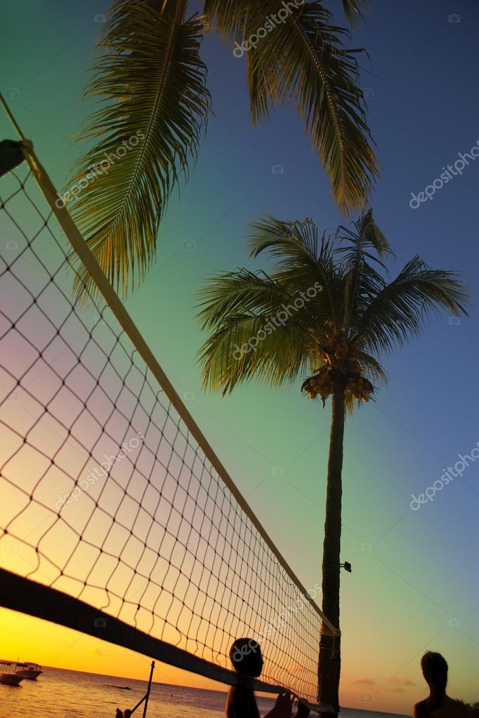 Beach Volleyball Net Sunset