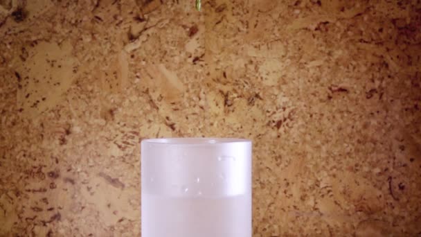 A rosa vermelha cai lentamente em um vaso e saltando, câmera lenta — Vídeo de Stock