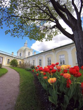 Lale Grand Menshikov Palace önce. St. Petersburg, Lomonosov, Rusya Federasyonu.