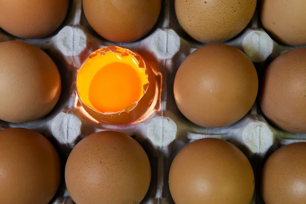 Eier, ein Ei wird geöffnet, das Eigelb ist sichtbar und es leuchtet — Stockfoto