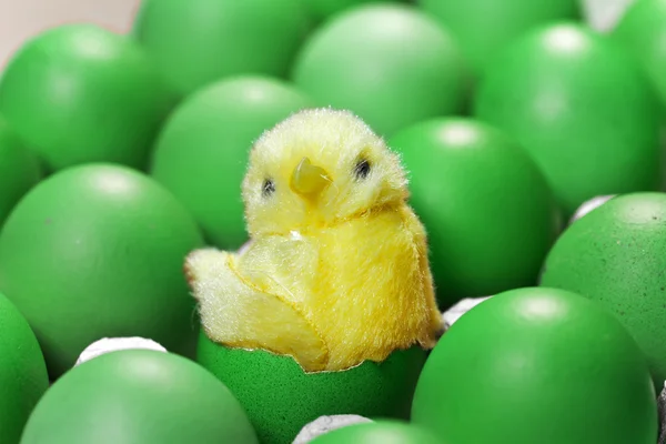 Juguete pollo sentarse en una cáscara de un huevo de Pascua entre los huevos verdes de Pascua —  Fotos de Stock
