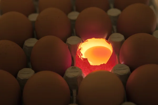 Ägg, ett ägg det öppnas, äggulan är synlig och det är upplyst — Stockfoto