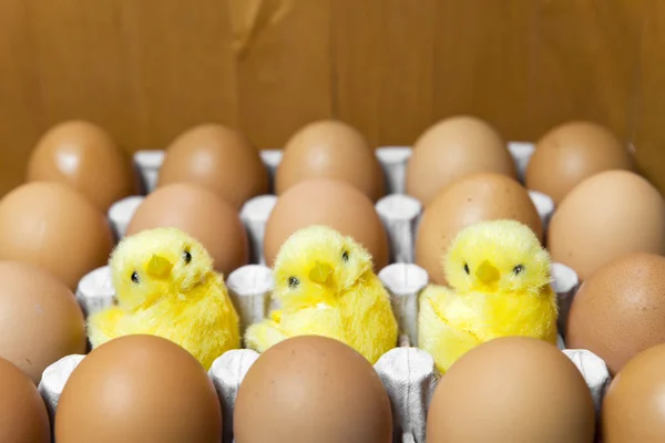 Tres pollos de juguete se sientan entre los huevos —  Fotos de Stock