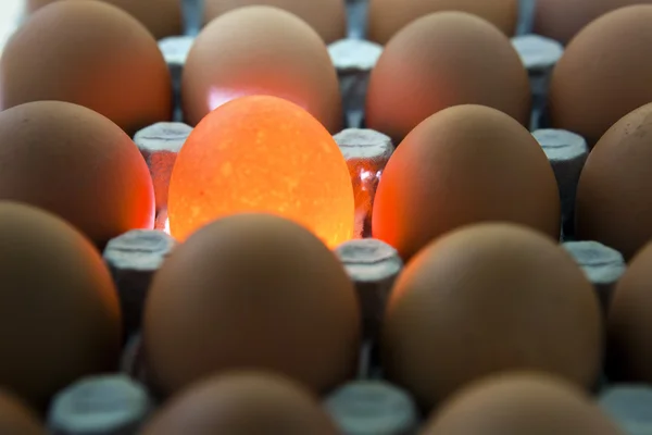 Eggs, one egg it is illuminated — Stock Photo, Image