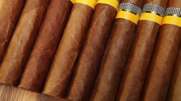 Cigarros Bodegón en un día soleado — Vídeos de Stock